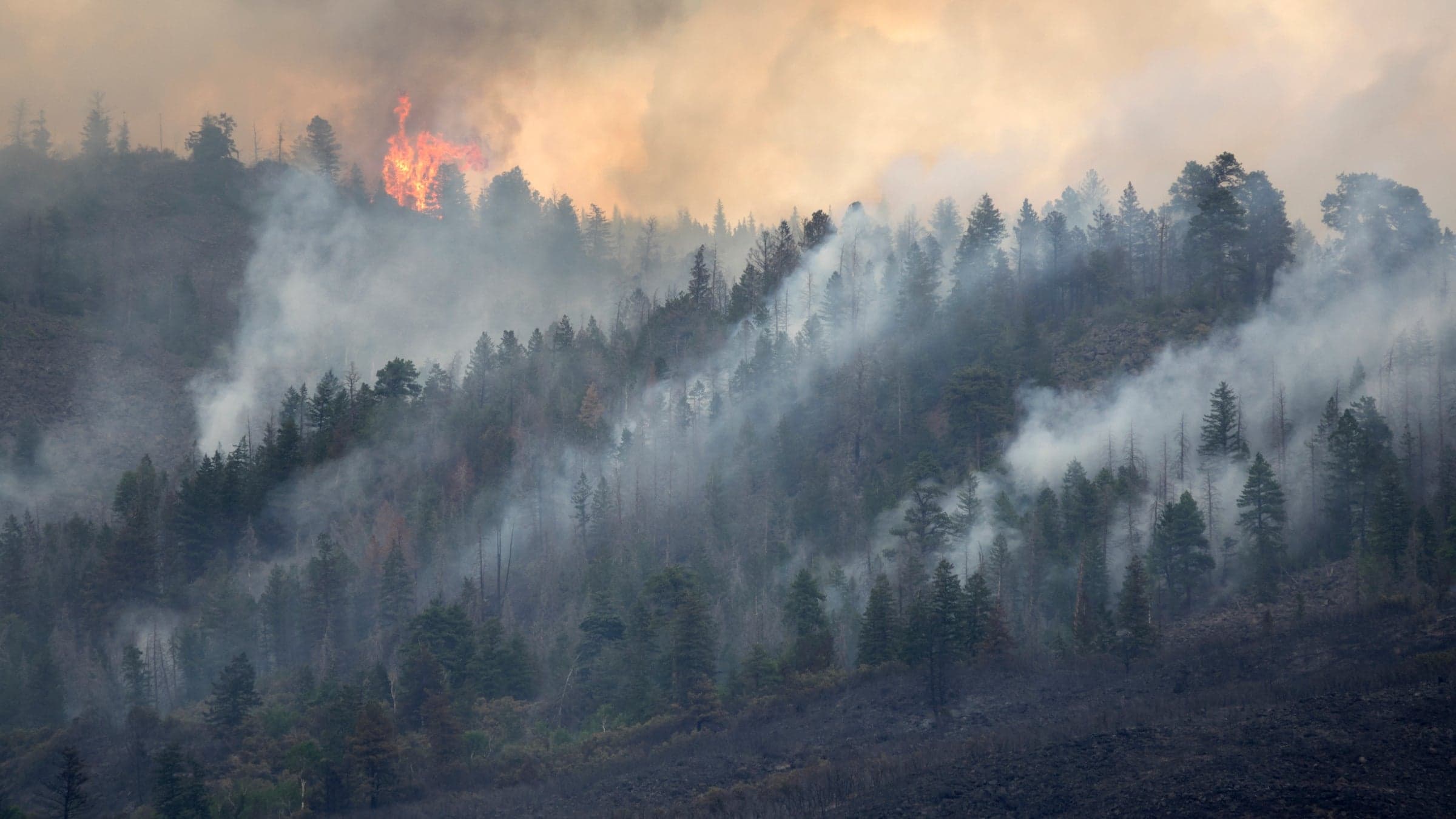 Wildfire Smoke Pushes Long Island Air Quality to Unhealthy Levels