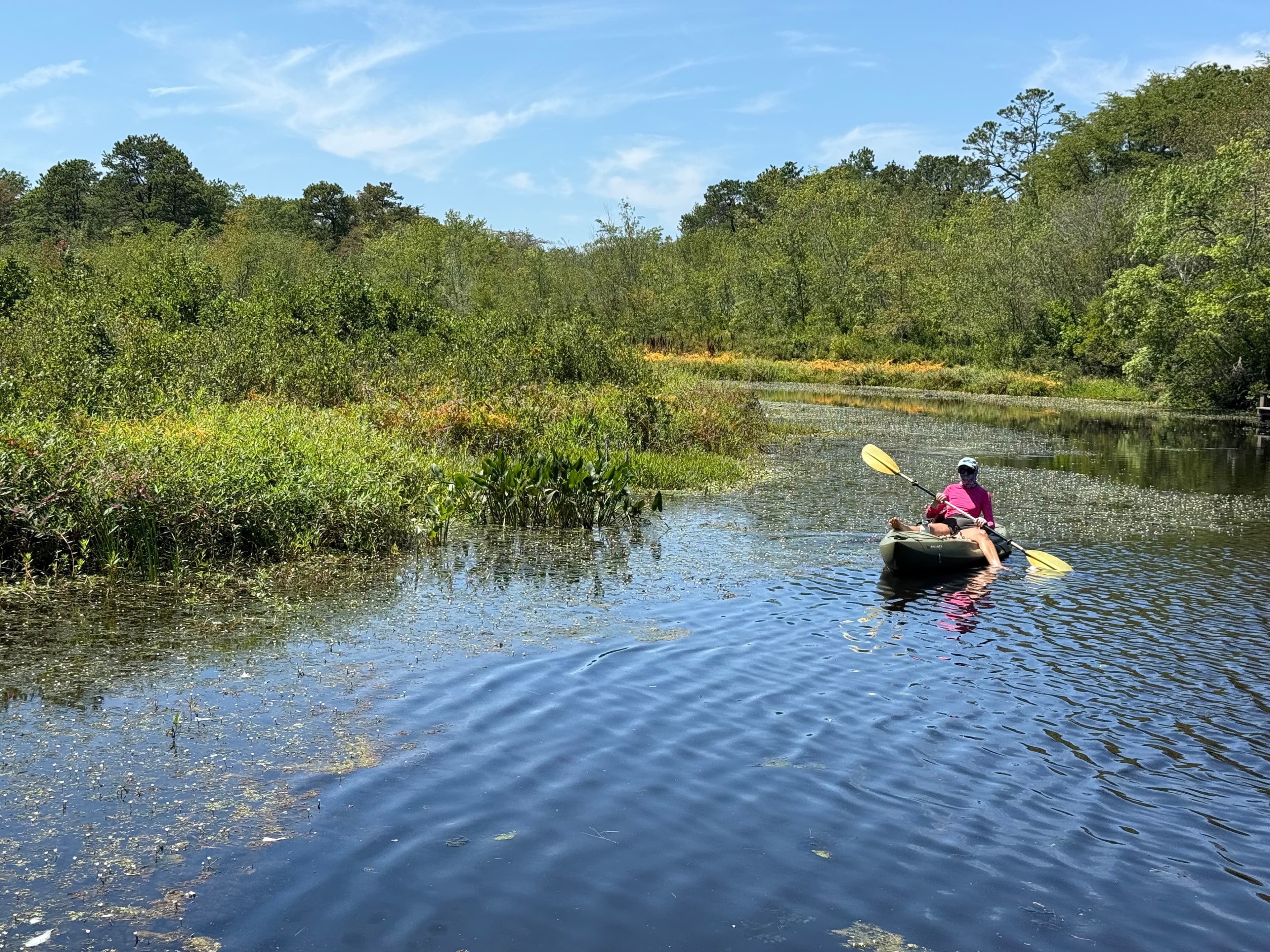 County to Test Peconic River, Fish as Contamination Spreads