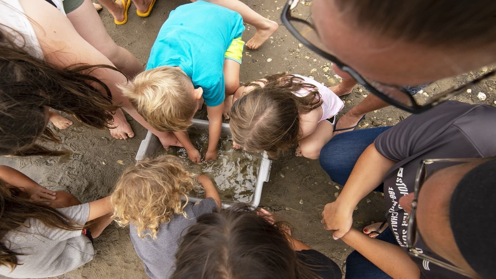 Kids Explore Narrows Bay at Sea Creatures Discovery Day