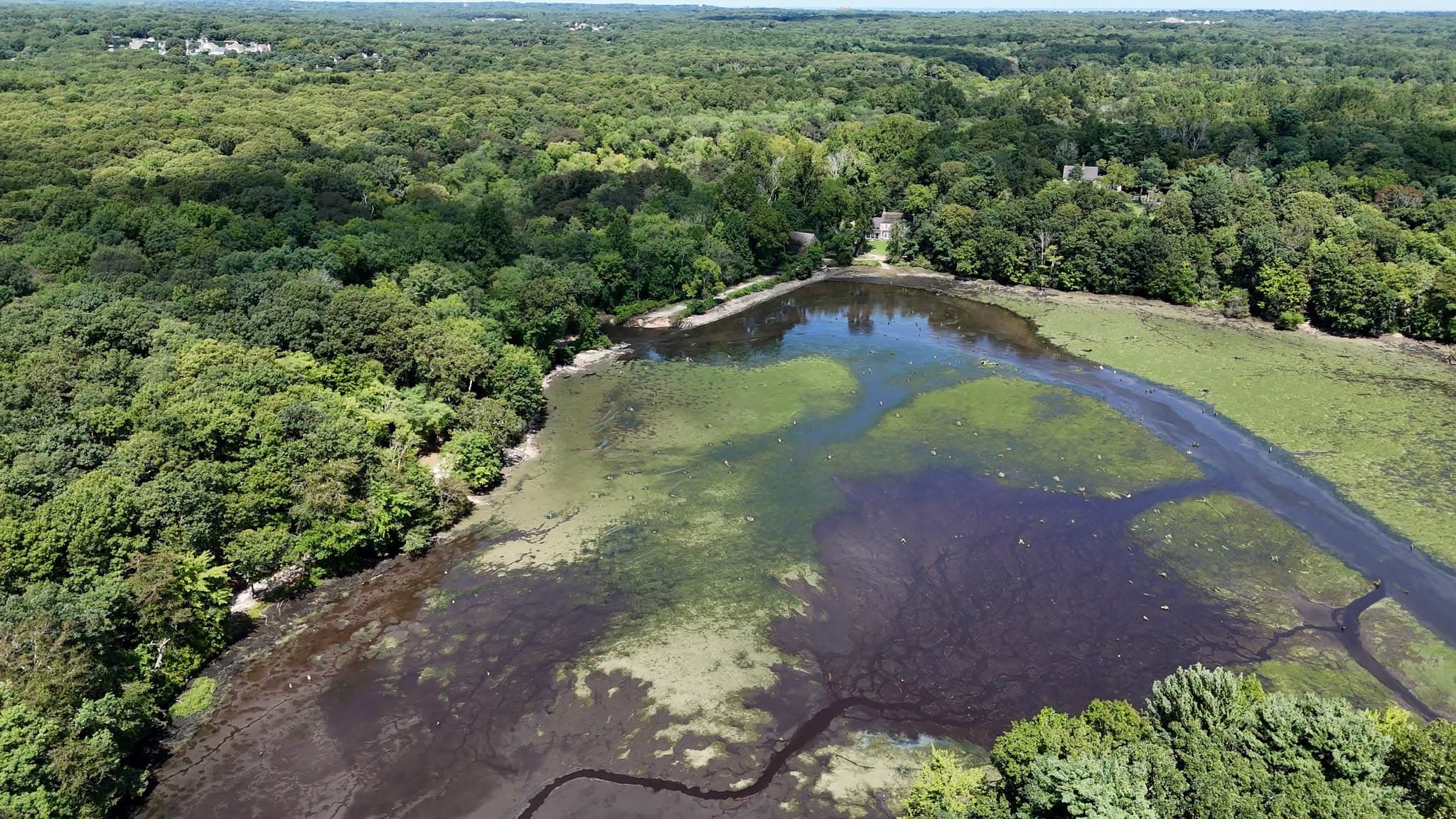 Dam Good News: Big Bucks for Stump Pond Dam