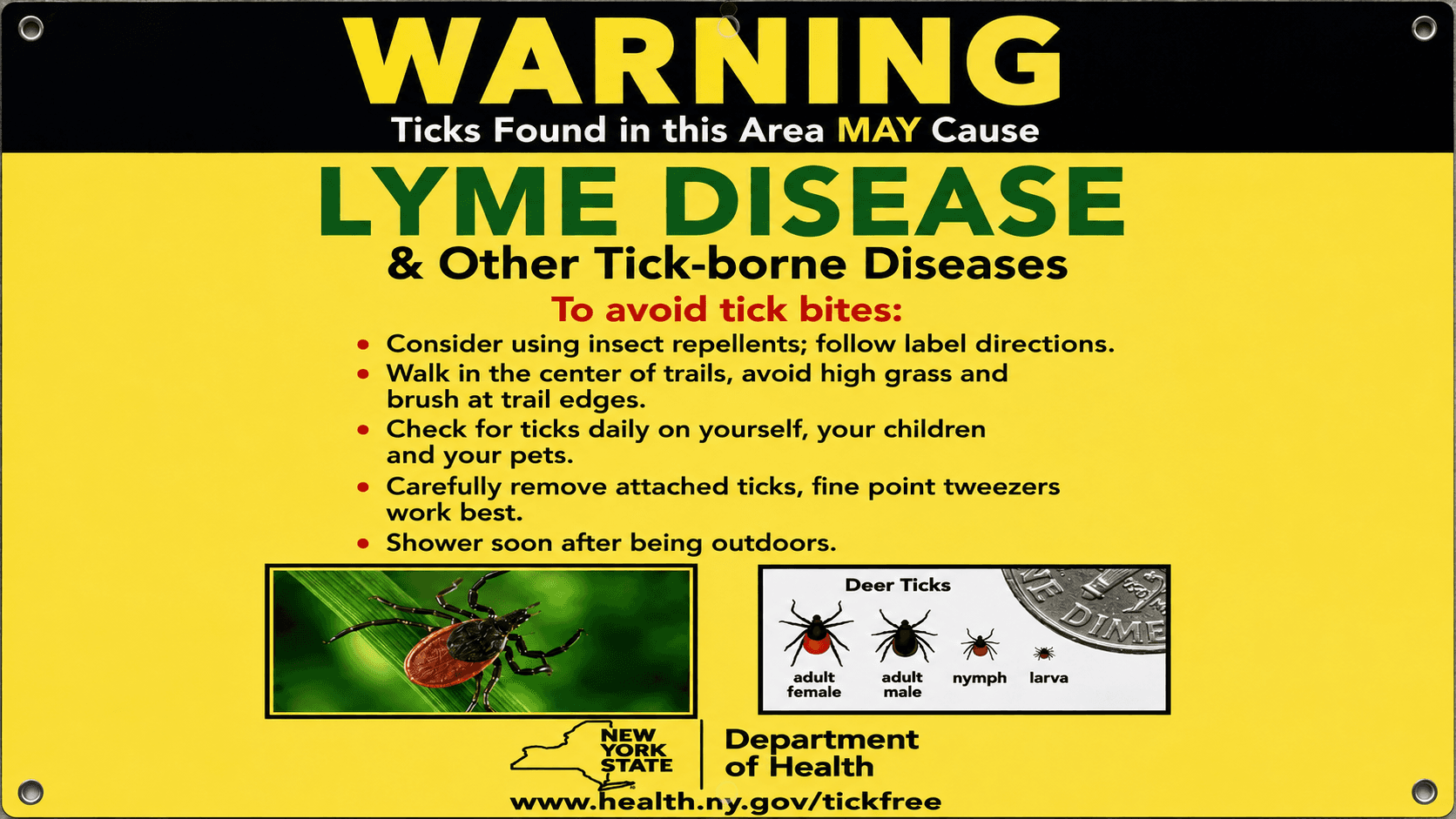 A Cautionary Tale Of Ticks
