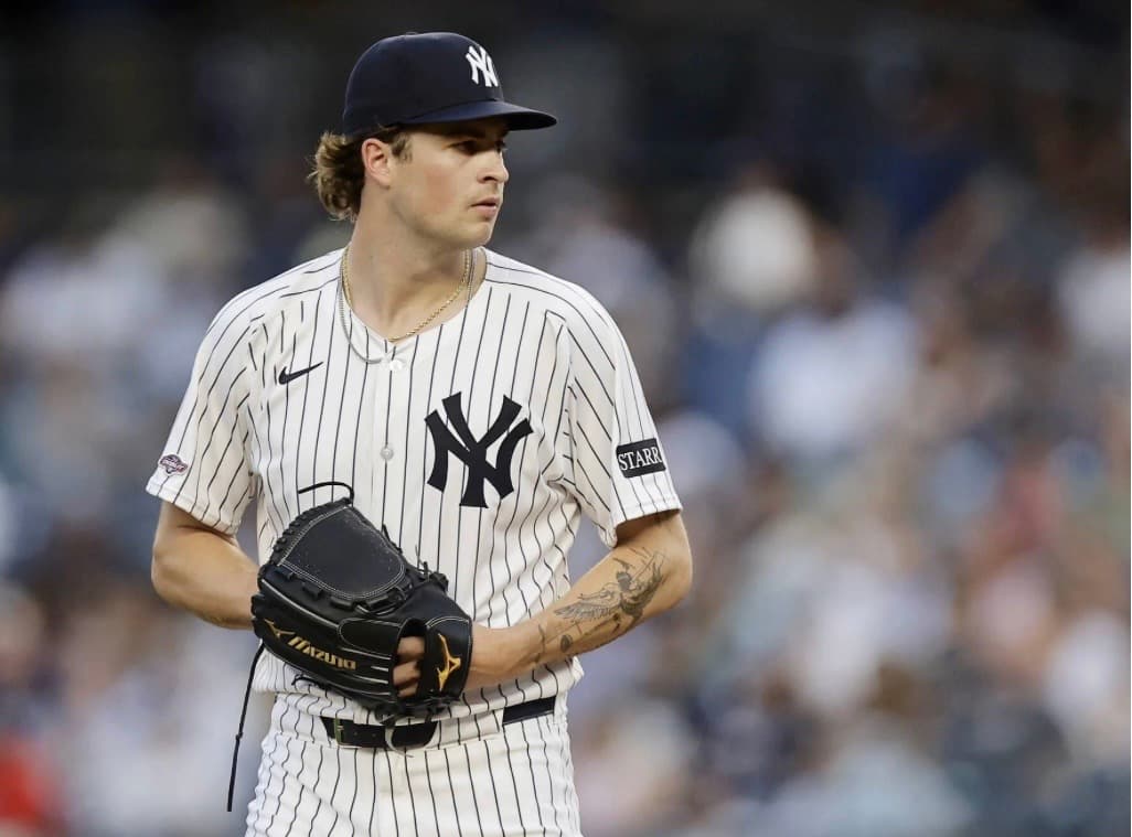My Fantasy Baseball Experience - Rookie Performers