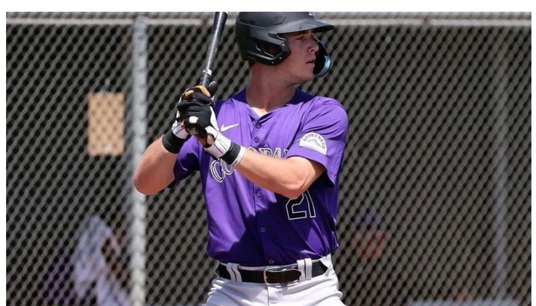 The Fantasy Baseball Experience - Prospect Look Ahead