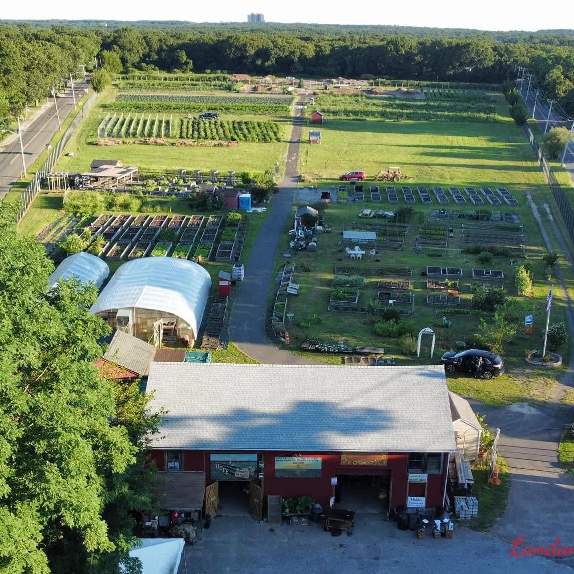 Run the Farm, National Night Out Return to Centereach