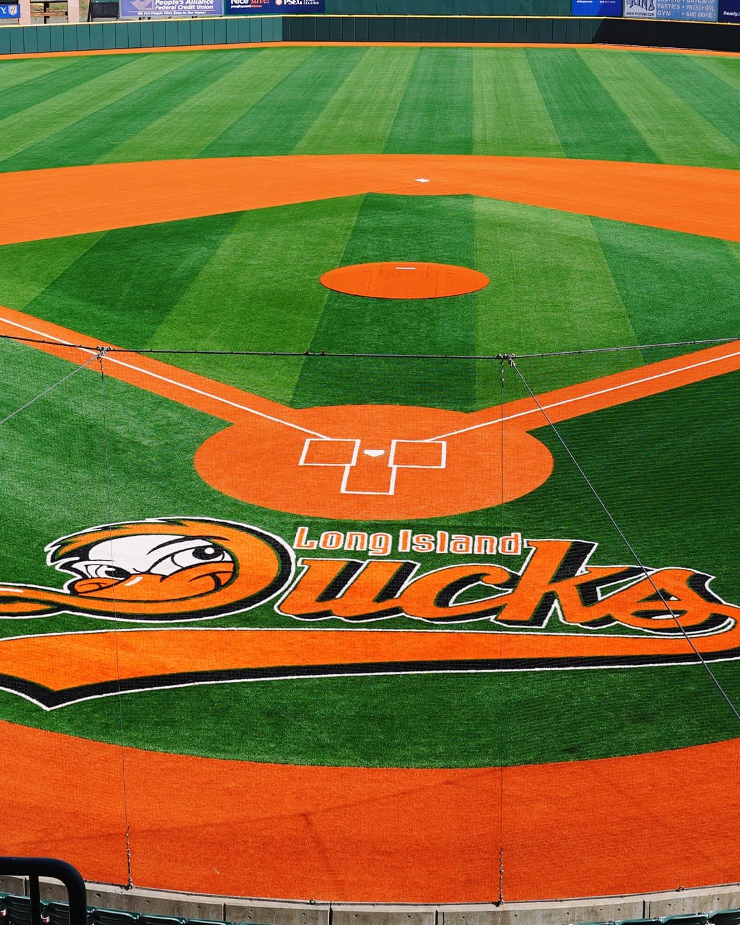 The Ducks are Flying into the Playoffs